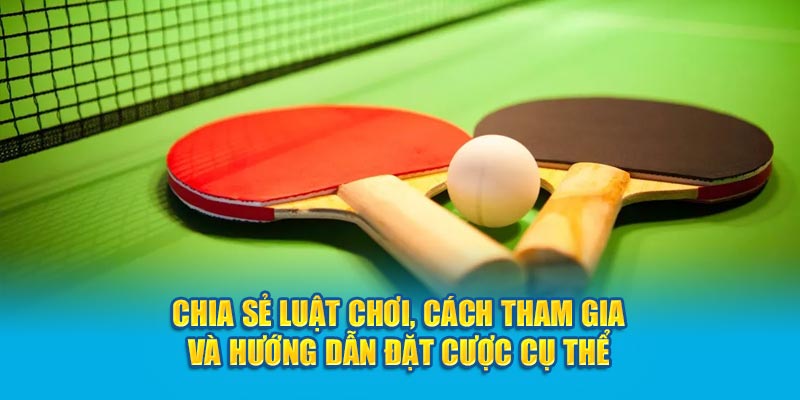 Chia sẻ luật chơi, cách tham gia và hướng dẫn đặt cược cụ thể