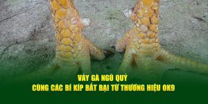 Vảy Gà Ngũ Quỷ Cùng Các Bí Kíp Bất Bại Từ Thương Hiệu OK9