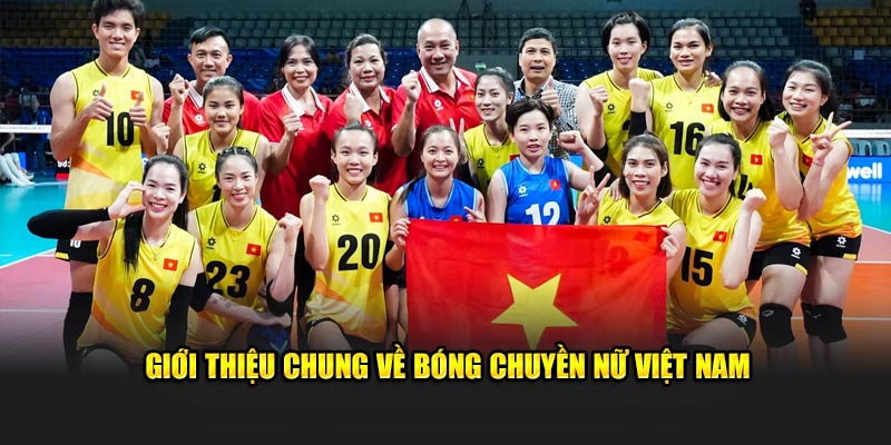 Giới thiệu chung về bóng chuyền nữ Việt Nam